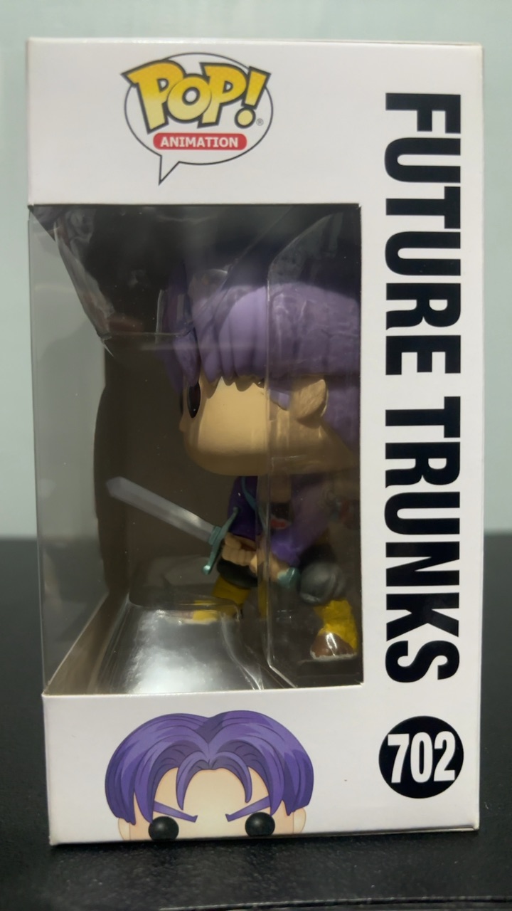 Future Trunks - Image 3