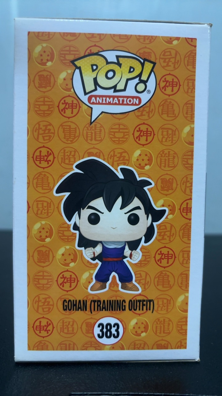 Gohan (Training Outfit) - Image 5