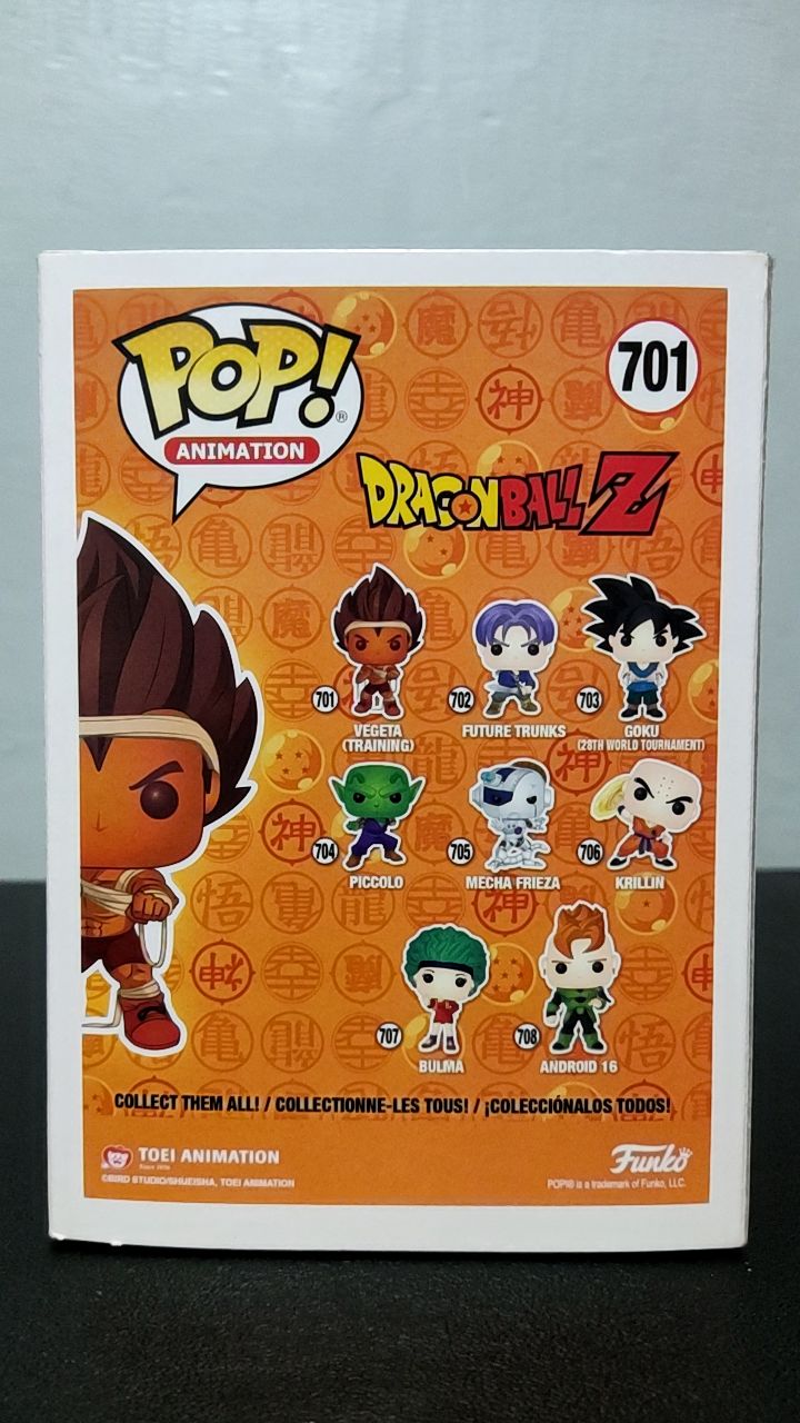 Vegeta (Training) - Image 4