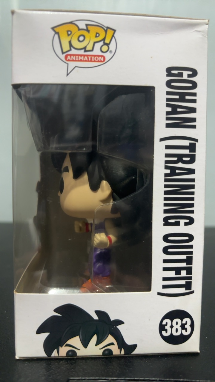 Gohan (Training Outfit) - Image 3