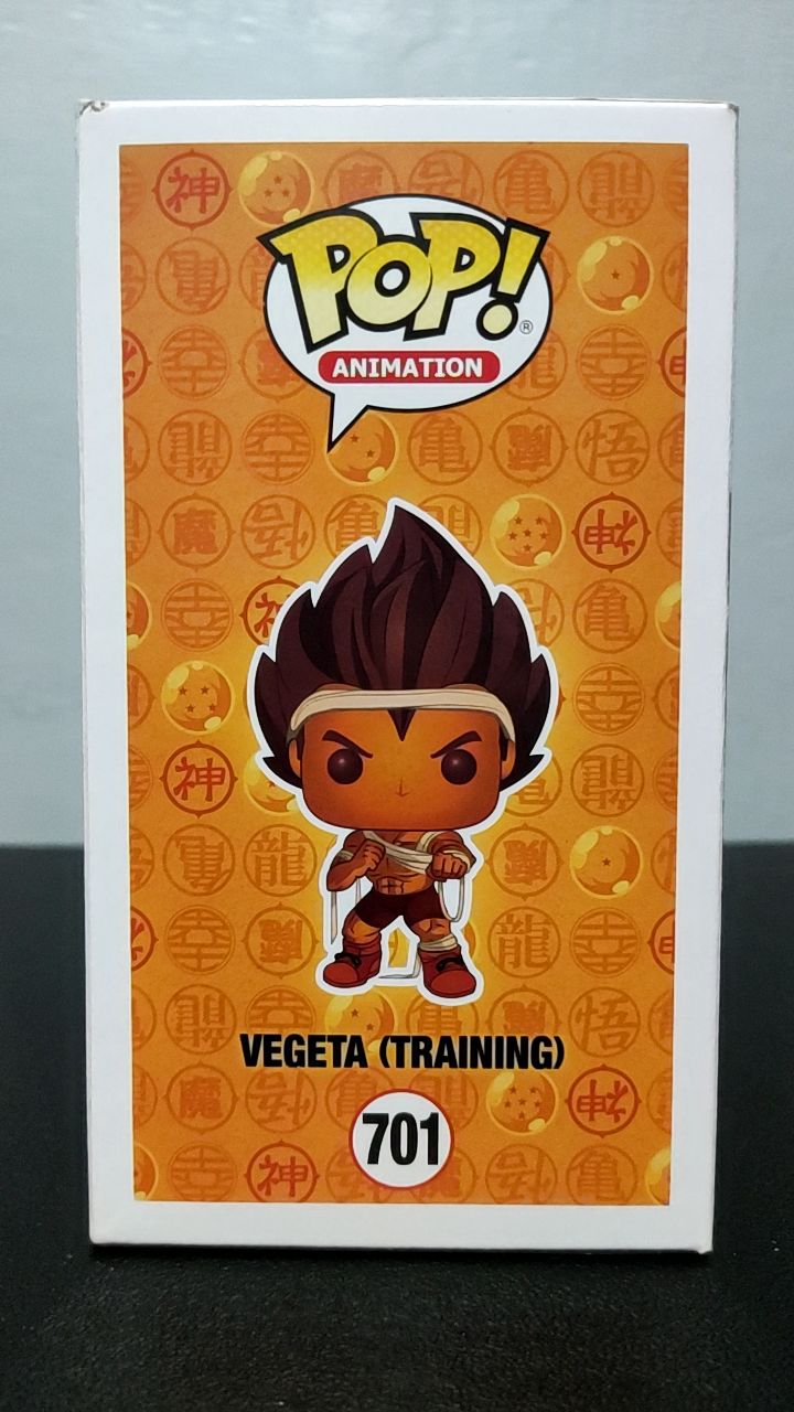 Vegeta (Training) - Image 3