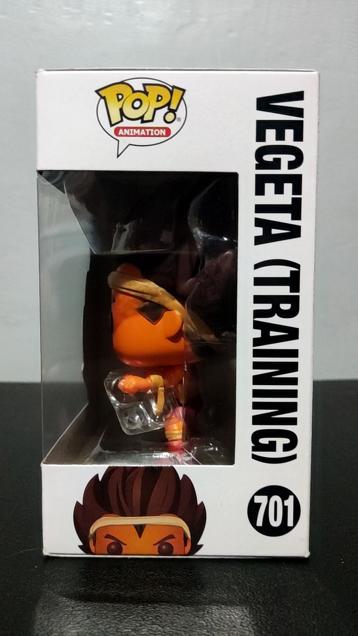 Vegeta (Training) - Image 5