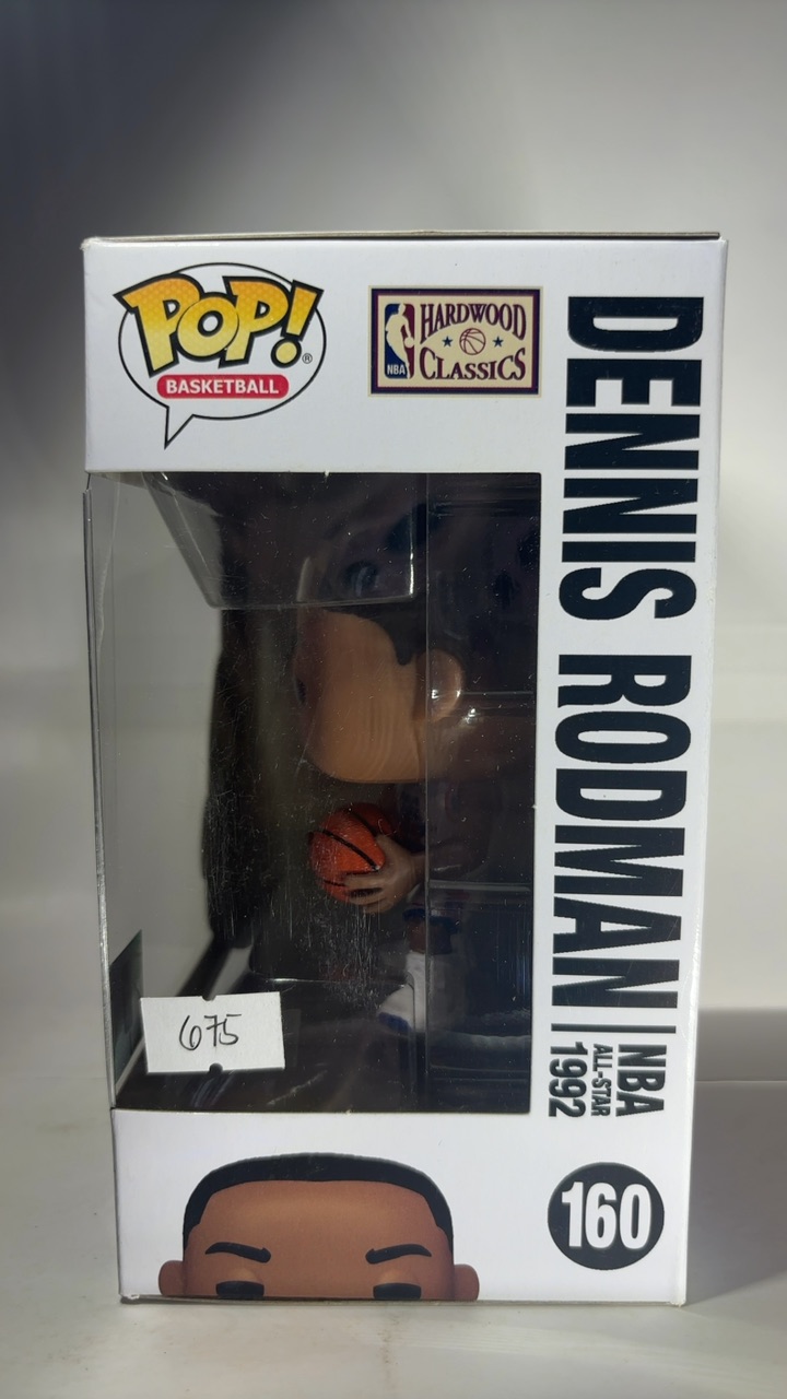 Dennis Rodman - Image 4